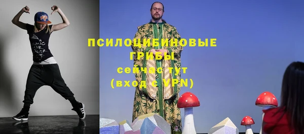 СК Алексеевка