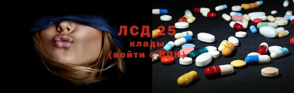 стафф Алзамай