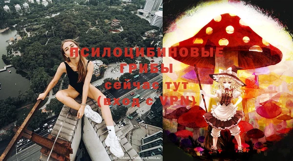 дмт Абинск