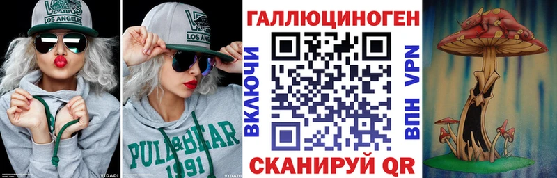 Галлюциногенные грибы Psilocybine cubensis  Новокубанск 