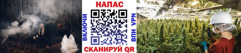 кракен зеркало Новокубанск Бошки марихуана гибрид